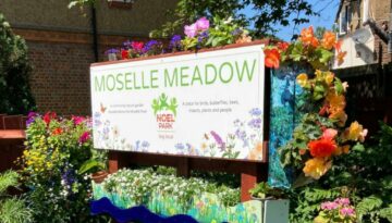 moselle-meadow-main-new